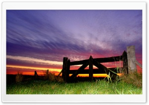 Purple Sky, Evening Ultra HD Wallpaper for 4K UHD Widescreen desktop, tablet & smartphone
