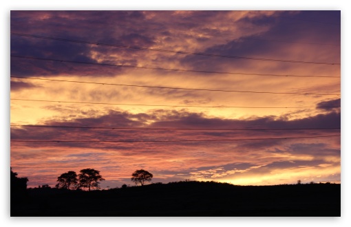 Purple Sky Trees UltraHD Wallpaper for UHD 16:9 ; HD 16:9 ; Widescreen 16:10 5:3 ; Fullscreen 3:2 ;