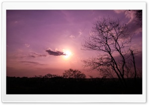 Purple Sunset Ultra HD Wallpaper for 4K UHD Widescreen desktop, tablet & smartphone