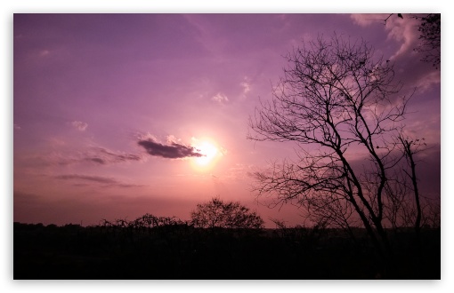 Purple Sunset UltraHD Wallpaper for Wide 16:10 5:3 Widescreen WHXGA WQXGA WUXGA WXGA WGA ; 8K UHD TV 16:9 Ultra High Definition 2160p 1440p 1080p 900p 720p ; Mobile 5:3 - WGA ;