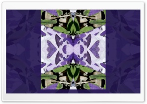 Purple Symmetry with Sage Art Ultra HD Wallpaper for 4K UHD Widescreen desktop, tablet & smartphone