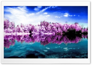 Purple Trees Ultra HD Wallpaper for 4K UHD Widescreen desktop, tablet & smartphone