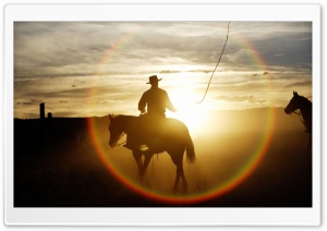 Quarter Horse Ponderosa Ranch Seneca Oregon Ultra HD Wallpaper for 4K UHD Widescreen desktop, tablet & smartphone