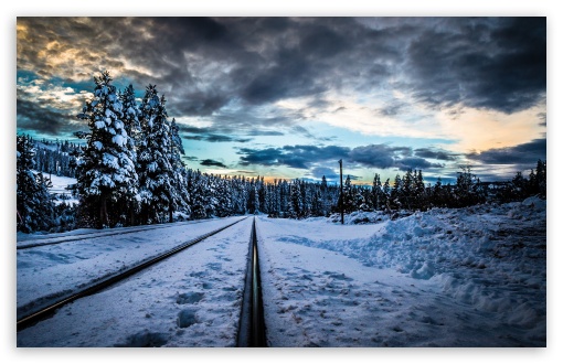 Premium Photo | Winter forest with pine trees covered with snow train rides  on rails with spotlights 3d illustration