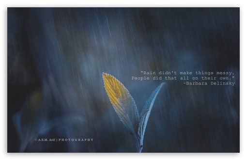 Rain and Something UltraHD Wallpaper for UHD 16:9 ; HD 16:9 ; Widescreen 16:10 5:3 ; Fullscreen 3:2 ; Tablet 1:1 ;