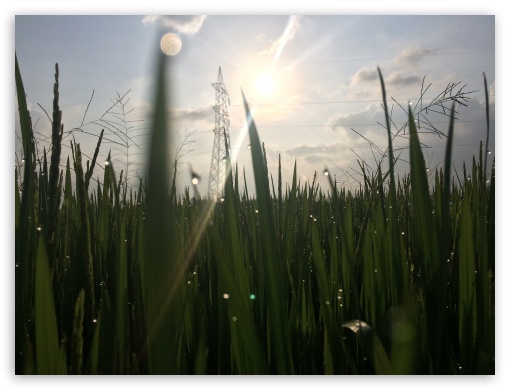 Rain Drops UltraHD Wallpaper for Fullscreen 4:3 ;