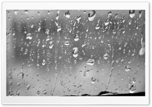 Rain Drops Ultra HD Wallpaper for 4K UHD Widescreen desktop, tablet & smartphone