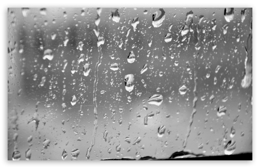 Rain Drops UltraHD Wallpaper for UHD 16:9 ; HD 16:9 ; UltraWide 32:9 32:10 ; Widescreen 16:10 5:3 ; Fullscreen 4:3 5:4 3:2 ; Tablet 1:1 ; Mobile 3:5 3:4 ; Dual 16:10 5:3 16:9 4:3 5:4 ;