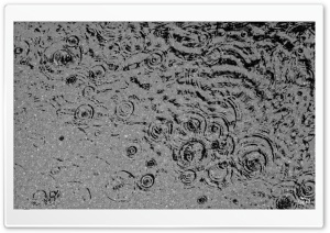Rain Drops in January Ultra HD Wallpaper for 4K UHD Widescreen desktop, tablet & smartphone
