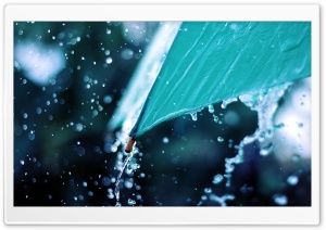 Rain Drops Over Umbrella Ultra HD Wallpaper for 4K UHD Widescreen desktop, tablet & smartphone
