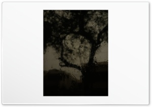 rain on window 4K UHD Wallpaper for Widescreen and UltraWide Desktop, UltraHD TV, Smartphone, Tablet