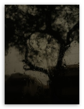 rain on window UltraHD Wallpaper for Mobile 3:4 ;