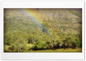 Rainbow 4K UHD Wallpaper for Widescreen and UltraWide Desktop, UltraHD TV, Smartphone, Tablet
