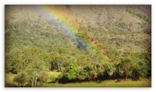 Rainbow UltraHD Wallpaper for HD 16:9 ;