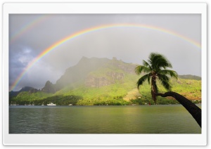 Rainbow Over Cooks Bay, Moorea, French Polynesia Ultra HD Wallpaper for 4K UHD Widescreen desktop, tablet & smartphone