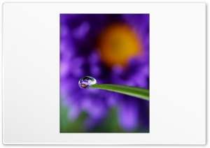 Raindrop 4K UHD Wallpaper for Widescreen and UltraWide Desktop, UltraHD TV, Smartphone, Tablet