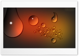 Raindrops Ultra HD Wallpaper for 4K UHD Widescreen desktop, tablet & smartphone
