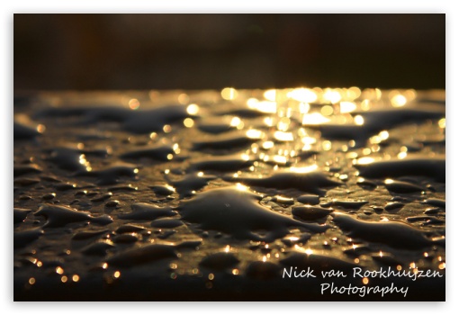 raindrops UltraHD Wallpaper for Mobile 3:2 - DVGA HVGA HQVGA ( Apple PowerBook G4 iPhone 4 3G 3GS iPod Touch ) ;