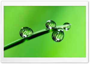 Raindrops, Grass, Macro Ultra HD Wallpaper for 4K UHD Widescreen desktop, tablet & smartphone