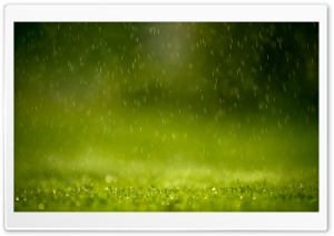 Raining Ultra HD Wallpaper for 4K UHD Widescreen desktop, tablet & smartphone