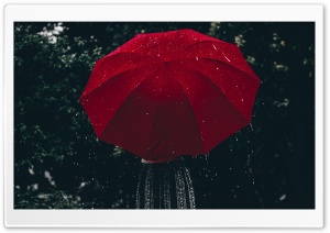 Raining Aesthetic Ultra HD Wallpaper for 4K UHD Widescreen desktop, tablet & smartphone