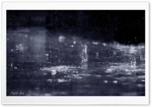 Rainy day Ultra HD Wallpaper for 4K UHD Widescreen desktop, tablet & smartphone