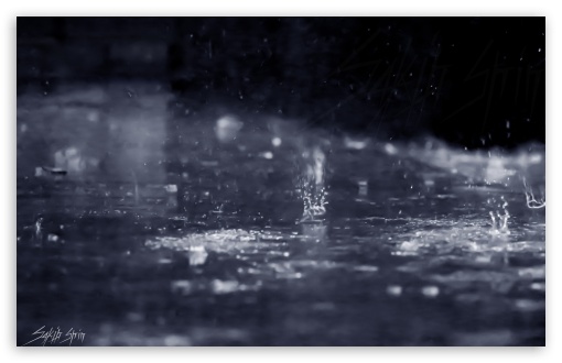 Rainy day UltraHD Wallpaper for UHD 16:9 ; HD 16:9 ; Widescreen 16:10 5:3 ;