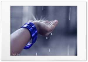 Rainy day Ultra HD Wallpaper for 4K UHD Widescreen desktop, tablet & smartphone