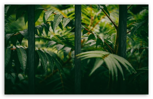 Rainy Day UltraHD Wallpaper for UHD 16:9 ; HD 16:9 ; UltraWide 21:9 24:10 ; Widescreen 16:10 5:3 ; Fullscreen 4:3 5:4 3:2 ; Tablet 1:1 ;