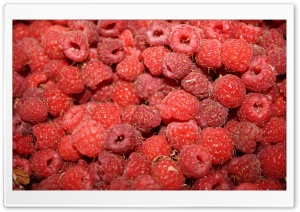 Raspberries Ultra HD Wallpaper for 4K UHD Widescreen desktop, tablet & smartphone