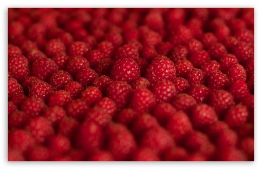 Raspberries UltraHD Wallpaper for Wide 16:10 5:3 Widescreen WHXGA WQXGA WUXGA WXGA WGA ; 8K UHD TV 16:9 Ultra High Definition 2160p 1440p 1080p 900p 720p ; UHD 16:9 2160p 1440p 1080p 900p 720p ; Standard 4:3 5:4 3:2 Fullscreen UXGA XGA SVGA QSXGA SXGA DVGA HVGA HQVGA ( Apple PowerBook G4 iPhone 4 3G 3GS iPod Touch ) ; Tablet 1:1 ; iPad 1/2/Mini ; Mobile 4:3 5:3 3:2 16:9 5:4 - UXGA XGA SVGA WGA DVGA HVGA HQVGA ( Apple PowerBook G4 iPhone 4 3G 3GS iPod Touch ) 2160p 1440p 1080p 900p 720p QSXGA SXGA ; Dual 16:10 5:3 16:9 4:3 5:4 WHXGA WQXGA WUXGA WXGA WGA 2160p 1440p 1080p 900p 720p UXGA XGA SVGA QSXGA SXGA ;