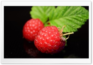Raspberries Fruits, Macro, Black Background Ultra HD Wallpaper for 4K UHD Widescreen desktop, tablet & smartphone