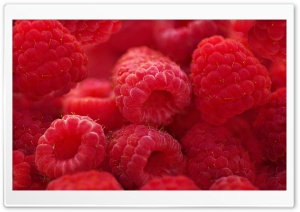 Raspberries Macro Ultra HD Wallpaper for 4K UHD Widescreen desktop, tablet & smartphone