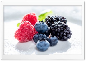 Raspberry, Bilberry, Blueberry, Blackberry, Delicious, Diet, Macro, Organic 4K UHD Wallpaper for Widescreen and UltraWide Desktop, UltraHD TV, Smartphone, Tablet