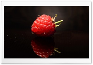 Raspberry Fruit, Macro, Black Background Ultra HD Wallpaper for 4K UHD Widescreen desktop, tablet & smartphone