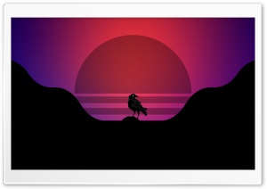Raven Ultra HD Wallpaper for 4K UHD Widescreen desktop, tablet & smartphone