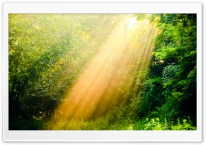 Rays Of Light Ultra HD Wallpaper for 4K UHD Widescreen desktop, tablet & smartphone