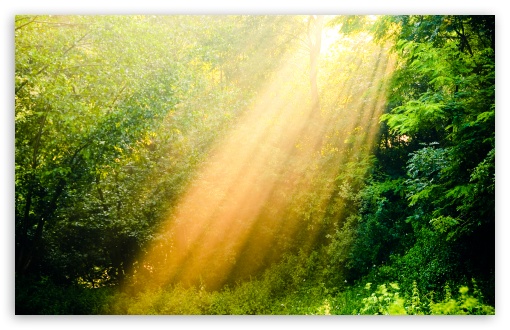 Rays Of Light UltraHD Wallpaper for UHD 16:9 ; HD 16:9 ; Widescreen 16:10 5:3 ; Fullscreen 4:3 5:4 3:2 ; Tablet 1:1 ; Mobile 3:5 3:4 ;