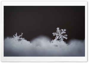 Real Snowflake Magnified Ultra HD Wallpaper for 4K UHD Widescreen desktop, tablet & smartphone