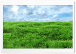 Realistic Grass Ultra HD Wallpaper for 4K UHD Widescreen desktop, tablet & smartphone