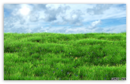 Vector Sketch Green Grass Field on Small Hills. Meadow, Alkali, Lye,  Grassland, Pommel, Lea, Pasturage, Farm. Rural Stock Vector - Illustration  of nature, grass: 180372364