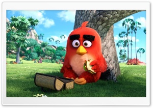 Red Angry Birds Movie Ultra HD Wallpaper for 4K UHD Widescreen desktop, tablet & smartphone