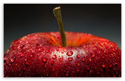 Red Apple Macro UltraHD Wallpaper for UHD 16:9 ; HD 16:9 ; UltraWide 21:9 24:10 ; Widescreen 16:10 5:3 ; Fullscreen 4:3 5:4 3:2 ; Tablet 1:1 ;