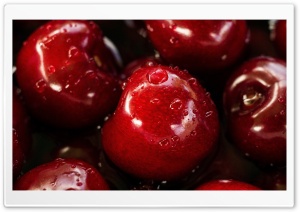 Red Apples Ultra HD Wallpaper for 4K UHD Widescreen desktop, tablet & smartphone