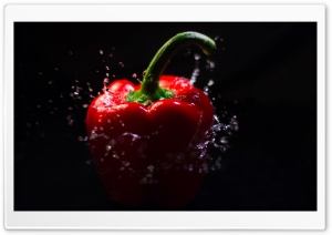 Red Bell Pepper Splash, Black Background Ultra HD Wallpaper for 4K UHD Widescreen desktop, tablet & smartphone