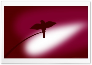 Red Bird Ultra HD Wallpaper for 4K UHD Widescreen desktop, tablet & smartphone