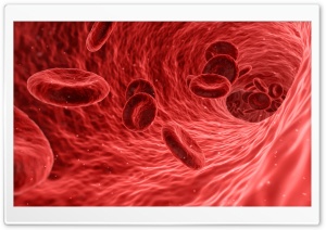 Red Blood Cells Microscope Ultra HD Wallpaper for 4K UHD Widescreen desktop, tablet & smartphone