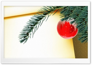 Red Christmas Ball Hanging On Tree Branch Ultra HD Wallpaper for 4K UHD Widescreen desktop, tablet & smartphone