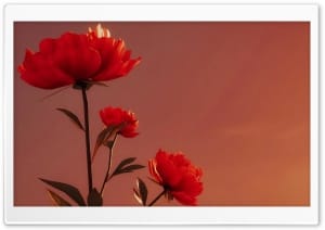 Red Flowers Retro Aesthetic 4K UHD Wallpaper for Widescreen and UltraWide Desktop, UltraHD TV, Smartphone, Tablet