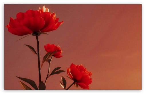 Red Flowers Retro Aesthetic UltraHD Wallpaper for HD 16:9 ; Widescreen 16:10 ; Tablet 1:1 ;